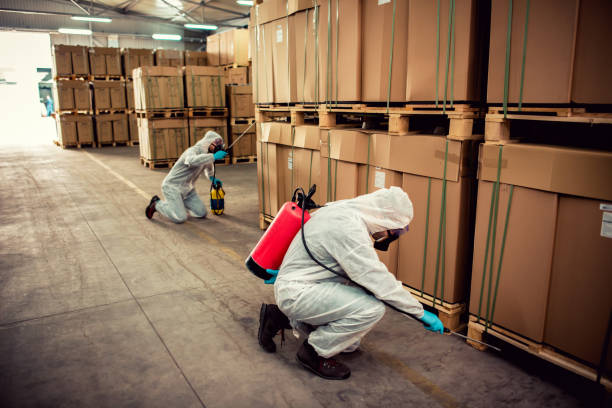 Trusted Fillmore, CA Pest Control Experts