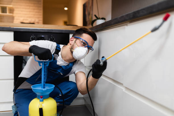 Best Rat Extermination Near Me  in Fillmore, CA