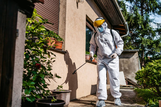 Pest Prevention Services in Fillmore, CA