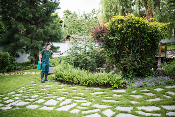 Best Local Pest Control Services  in Fillmore, CA
