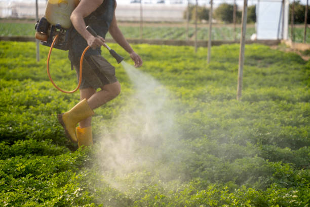 Best Commercial Pest Control Services  in Fillmore, CA