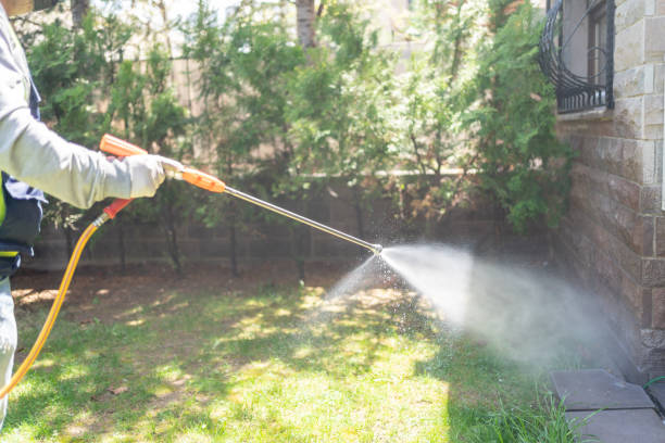Best Best Pest Control Companies  in Fillmore, CA