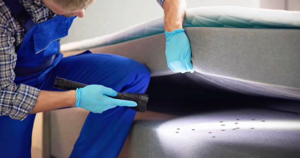 Best Flea Control Services  in Fillmore, CA